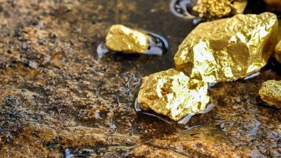 O kentte dere dere gezip haftada 10-13 gram altın topluyor! Resmen bedavadan para kazanıyor 5